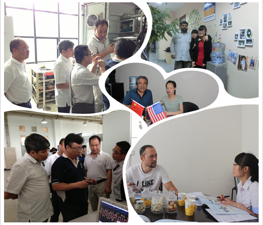 continuous production microwave Orchid / White Lotus / herbs drying and sterilization equipment