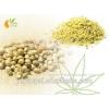Premium quality shelled hemp seed