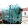 Widely used LSG-0.3 BOILER for Hot sale