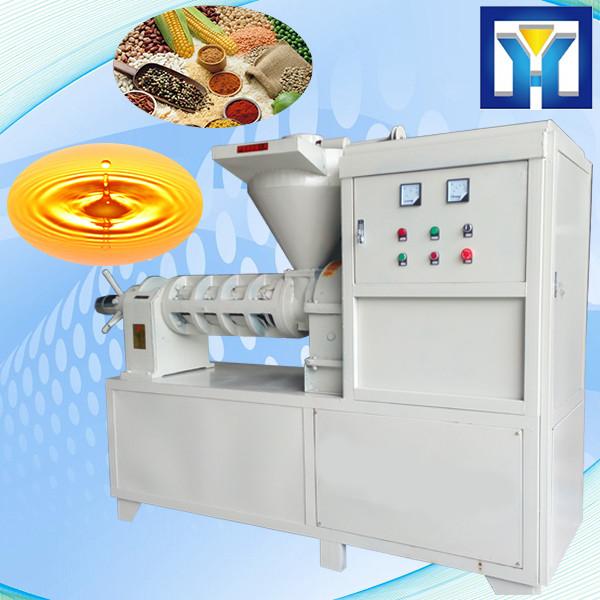 Almond oil extraction machine Automatic Type, Nut Oil Press Machine #1 image