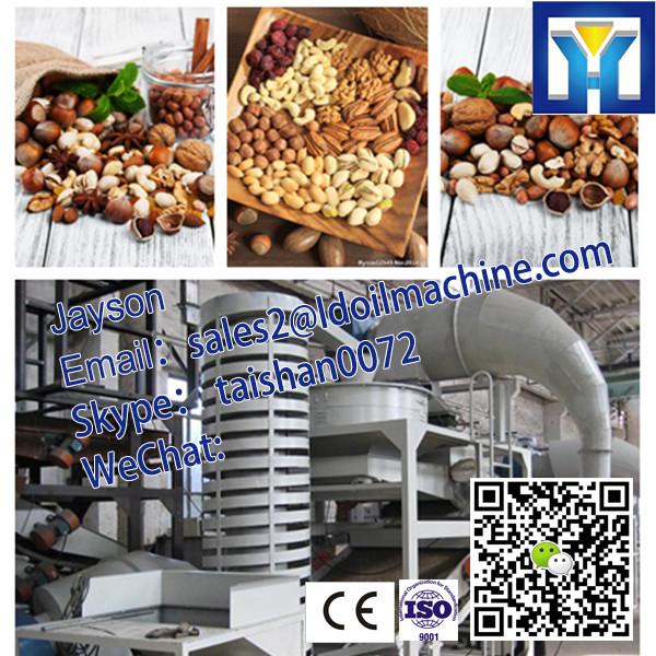 50-100kg/h Good quality Hydraulic sesame oil cold press machine #2 image