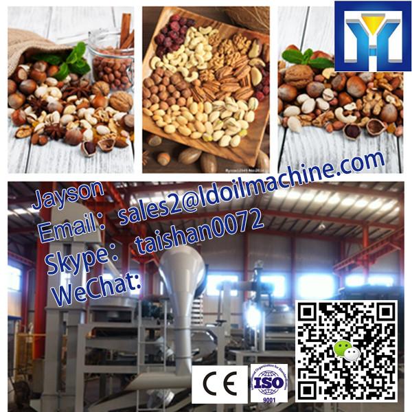 6YL-160 coconut oil press making machine #2 image