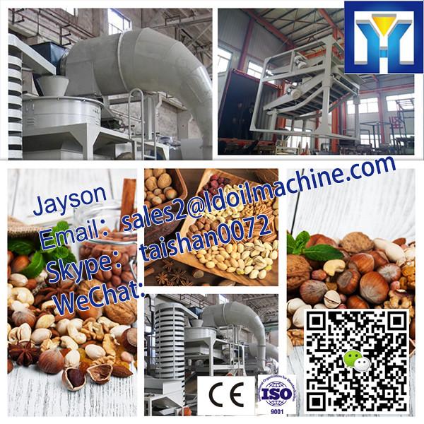 6YL-160 600-700kg/h High quality Peanut Oil Pressing Machine #3 image
