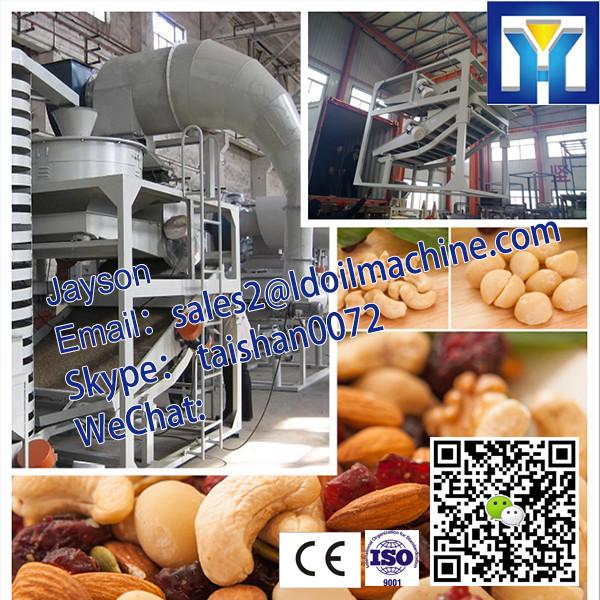 6YL-95/ZX-10 200kg/h soybean/peanut/copra/sunflower oil press #3 image