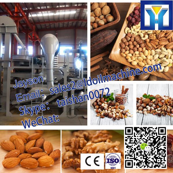 1-100T/D complete soybean, palm, cottonseeds, peanut, sunflower Oil Refinery Line #2 image