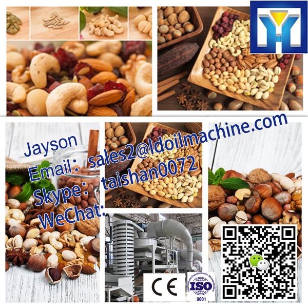 CE certified factory supply argan/almond/moringa oil press machine #2 image