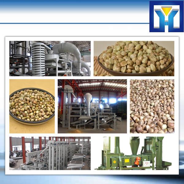 40 years experience and many successful cases complete soybean/palm/cottonseeds/peanut/sunflower Oil Equipment Line(1-100T) #1 image