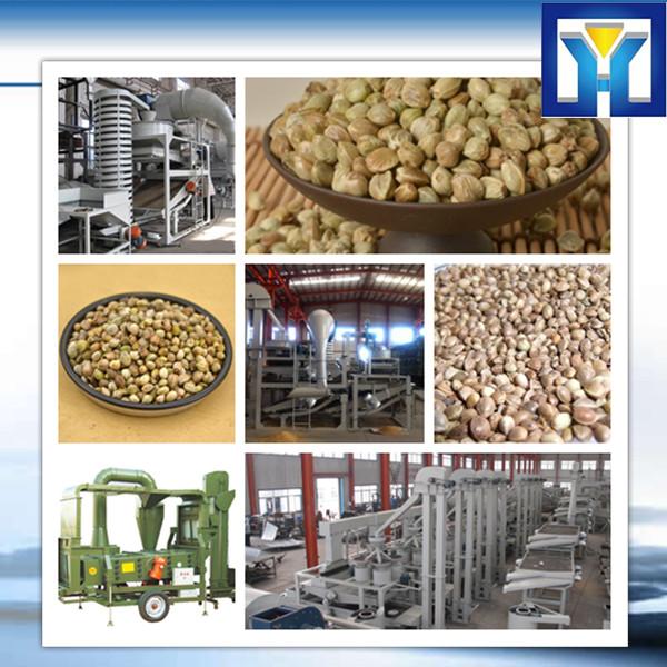 300-500kg/h YL-130 Palm Fruit Oil Press +86 15038228736 #1 image