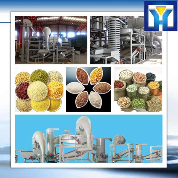 6YL-160 600-700kg/h High quality Peanut Oil Pressing Machine #1 image