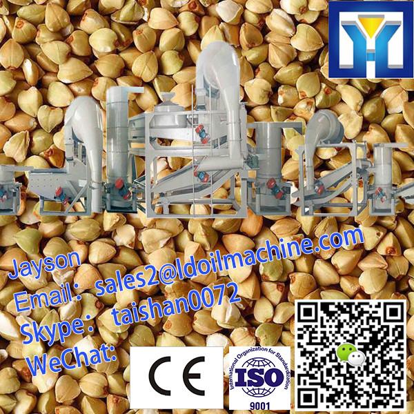 China Win Tone Brand Buckwheat Flour Milling Machine #1 image