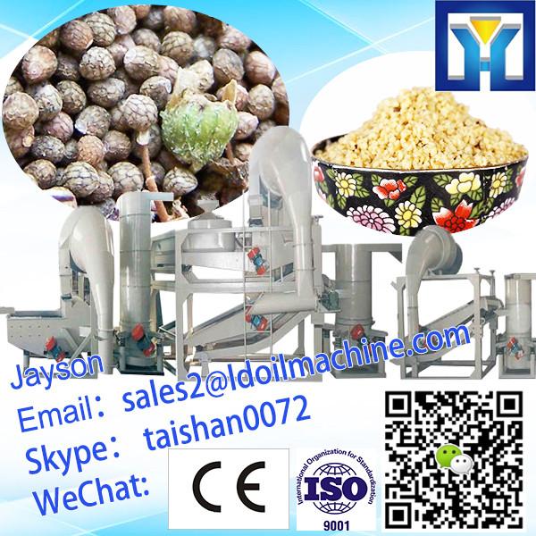 1Ton Per Hour Automatic Sunflower Seed Hulling Machine #1 image