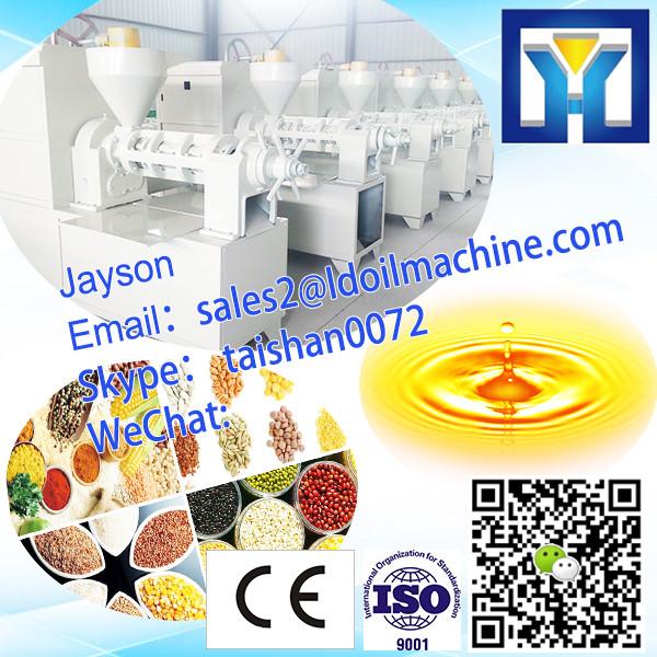 canola oil press machine vegetable oil production line macadamia nut oil machine #1 image