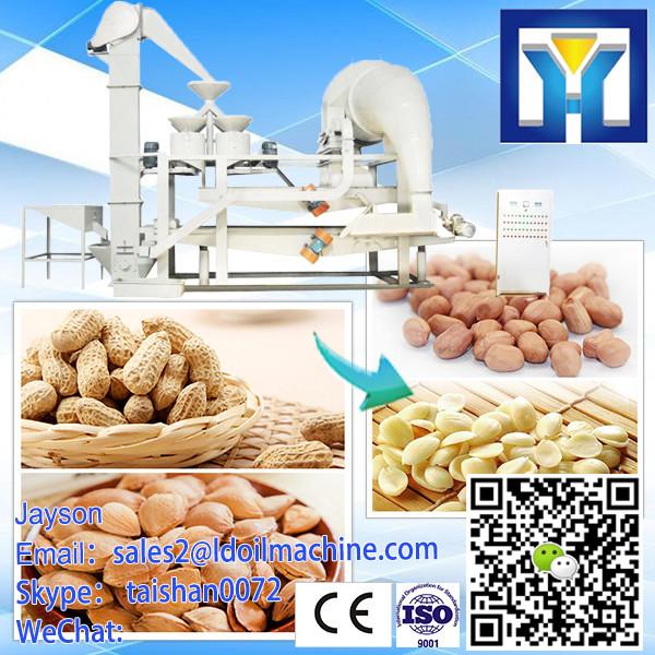 Cocoa Seed Separation Peanut Halfing Peeling Machine Prices Cacao Processing Machines #1 image