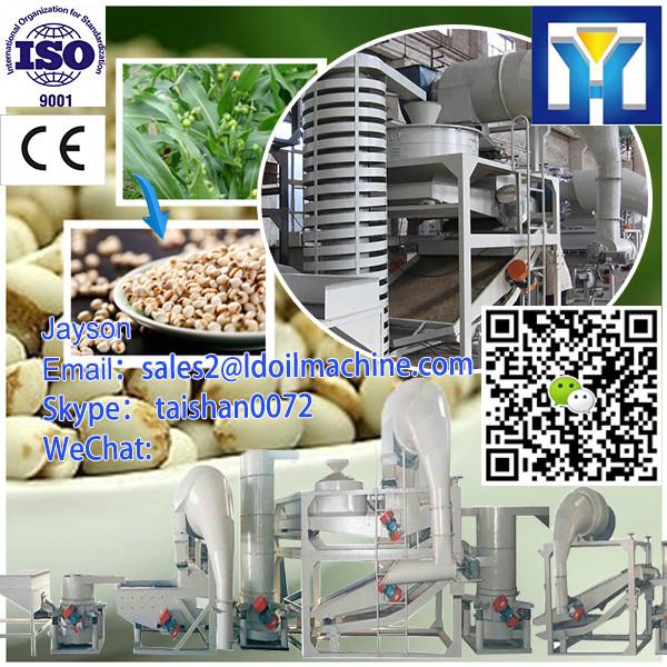 Grain paddy,cereal, selecting and cleaning machine(duplex-style) #1 image