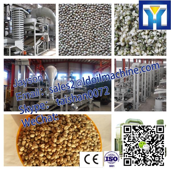 Commercial Electric Dry Seasoning Crushing Machine #2 image