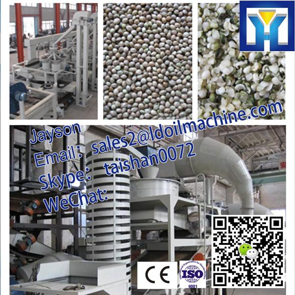 Commercial Electric Dry Seasoning Crushing Machine #1 image