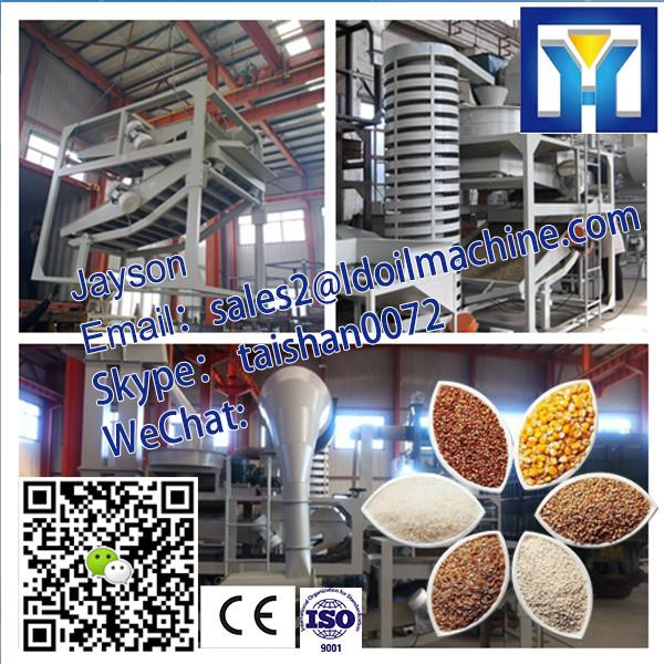 Stainless Steel Chicken Feed Mixing Machine|Screw Blade Type Feed Mixer #1 image