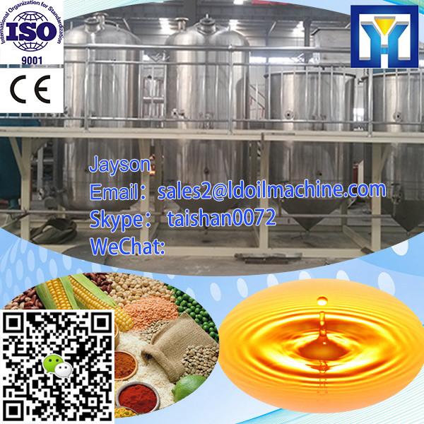 Professional Service Turnkey Edible Crude Palm Oil Refinery Plant #2 image