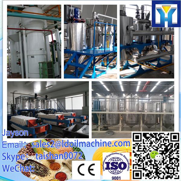 Professional Service Turnkey Edible Crude Palm Oil Refinery Plant #3 image
