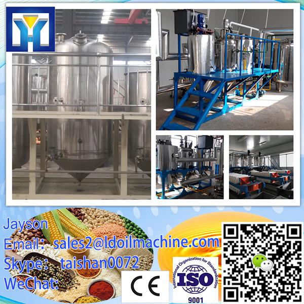 HPYL-80 100-150kg/h Hot selling factory price copra oil press machine #1 image