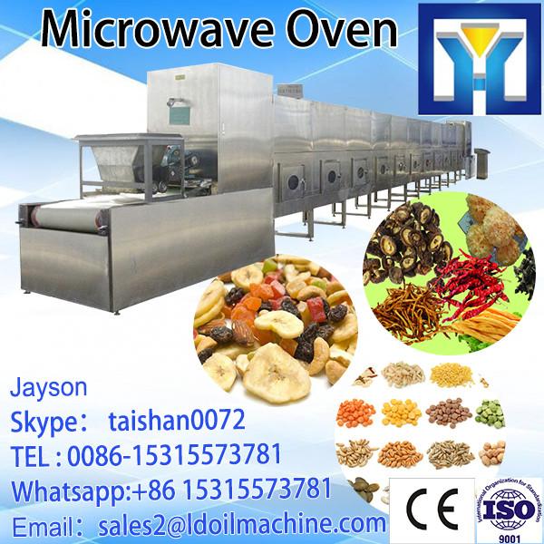 Conveyor belt type microwave fish slice dryer machine #1 image
